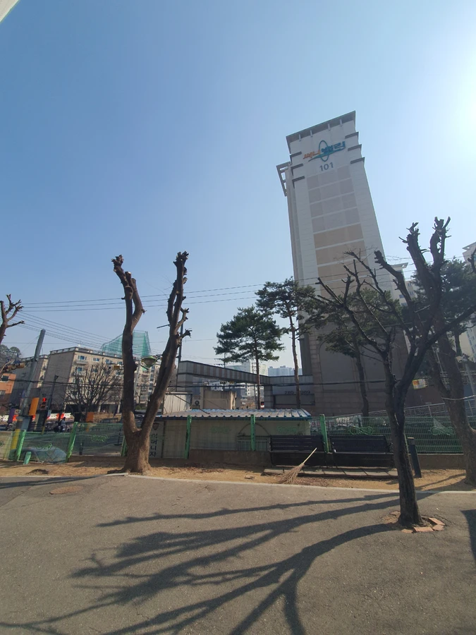 성남 가지치기 전정 작업