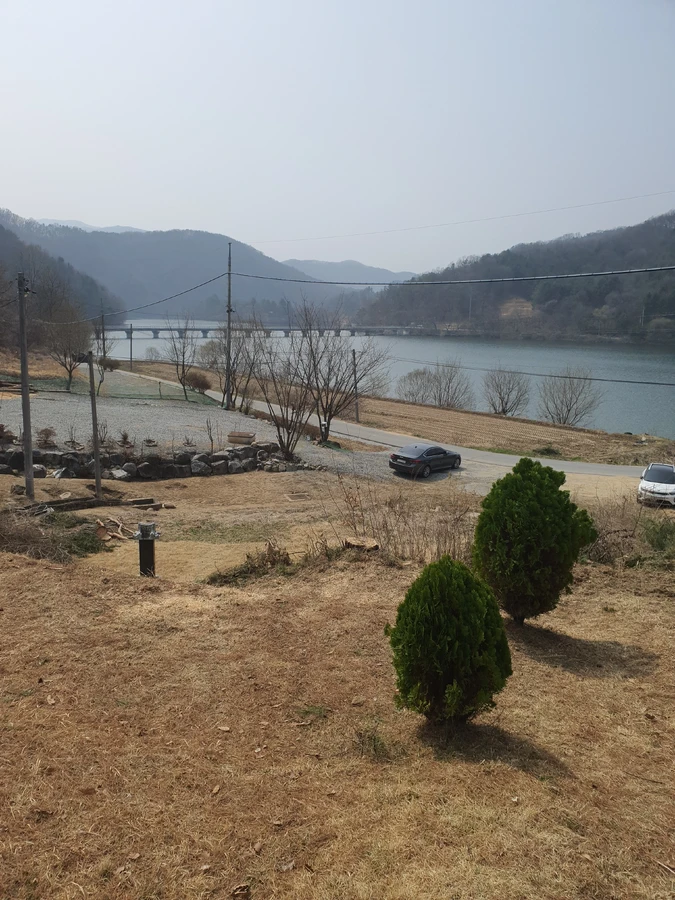 마당나무제거 시공사례 2 작업 후